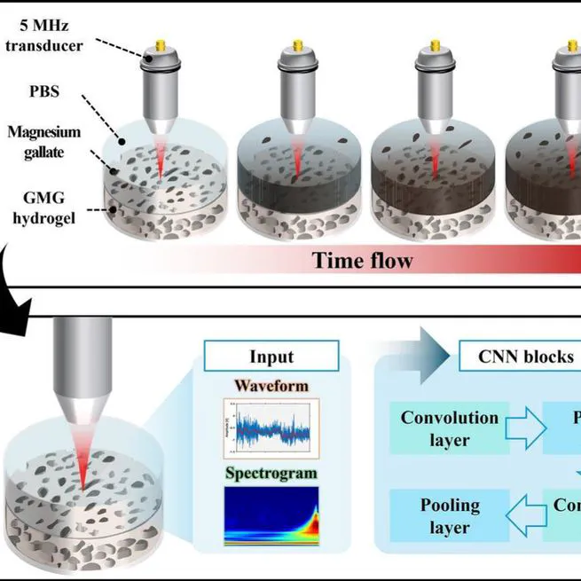 Non-invasive drug-release monitoring via AI-enhanced ultrasound in gelatin-magnesium gallate hydrogels