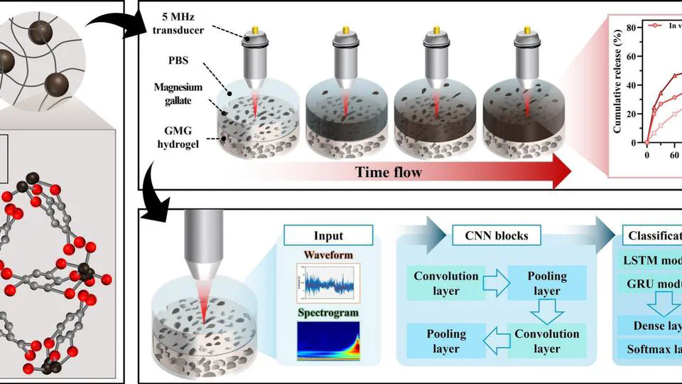 Non-invasive drug-release monitoring via AI-enhanced ultrasound in gelatin-magnesium gallate hydrogels